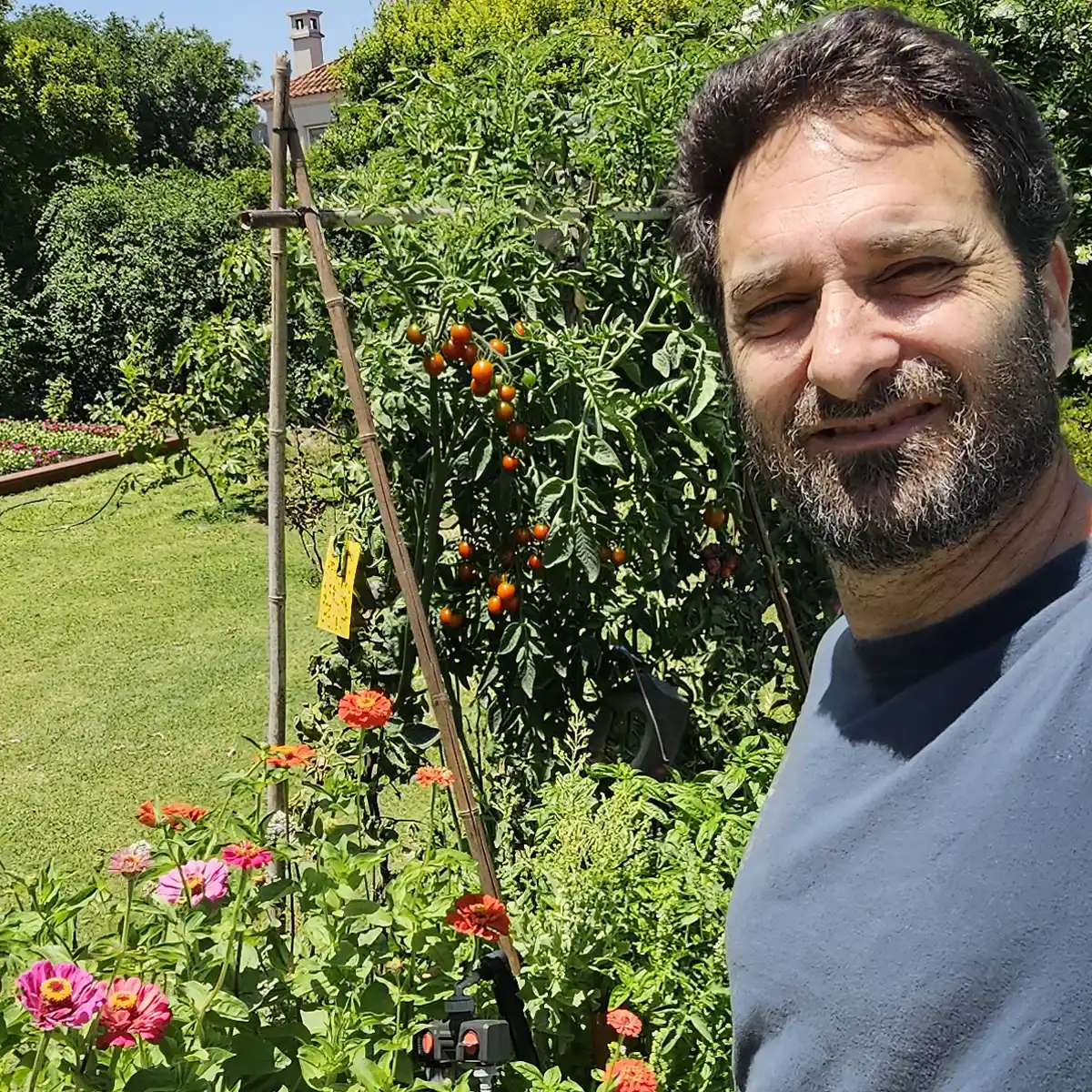 Huerta orgánica frondosa con cultivos en hileras, luz cálida de tarde